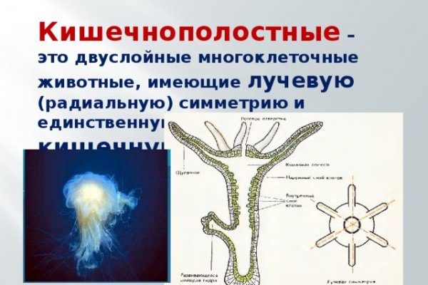 Кракен маркет даркнет только через тор