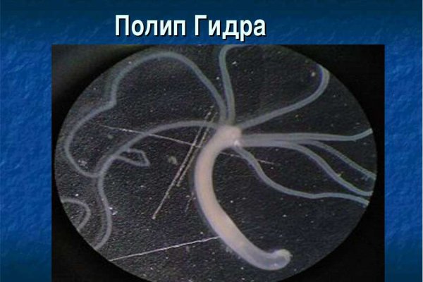 Кракен маркет darknet