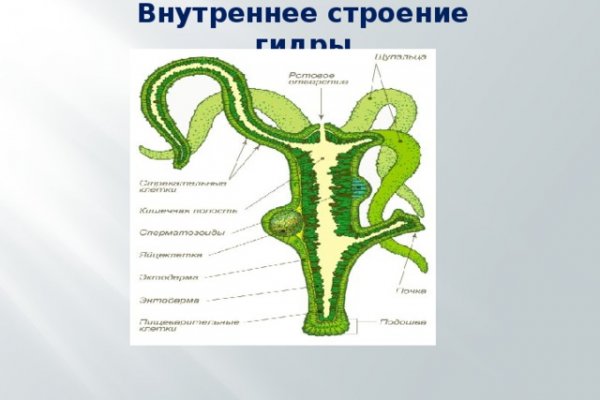 Ссылка на кракен tor