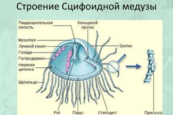 Зеркала кракен kraken014 com kraken014 com