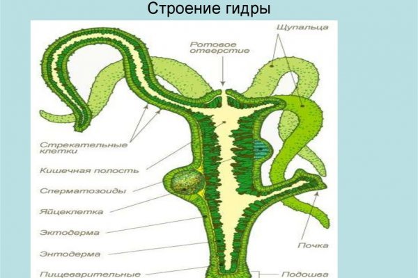 Кракен что продается