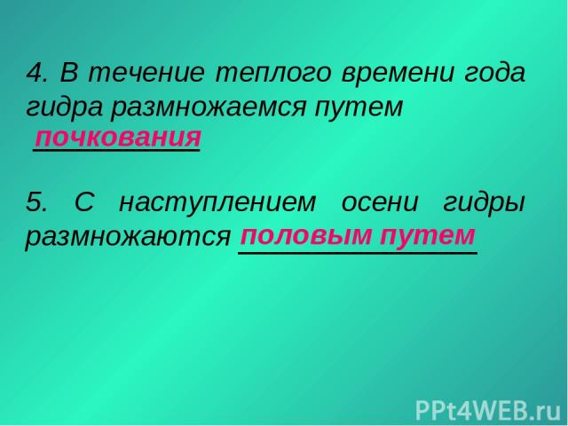Vk8 at кракен